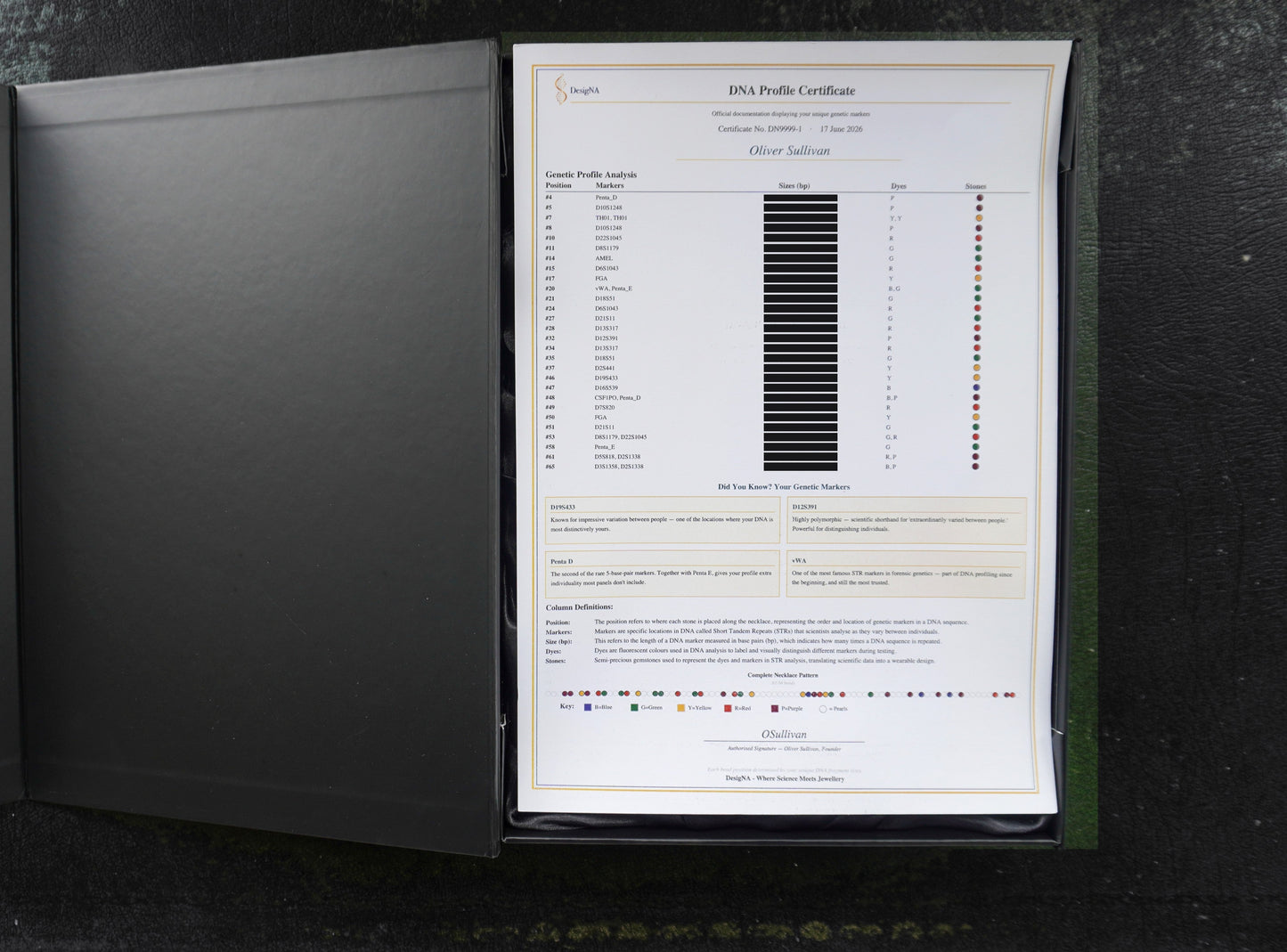 The DNA Profile Certificate of authenticity in its box. The individual marker readings are redacted here for privacy; your own certificate shows yours in full.