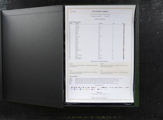 DNA profile certificate laid on top of the open DesigNA box beside the necklace