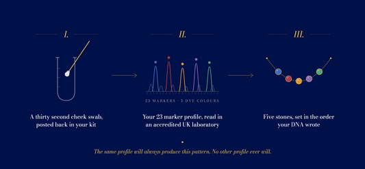 Diagram showing how a DesigNA cheek swab becomes a 23 marker DNA profile and then a five stone necklace pattern