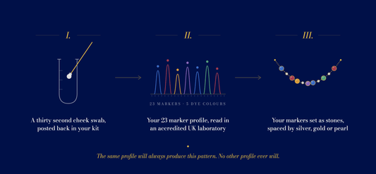 Timeline showing how long a DNA necklace takes from order to delivery, from sampling kit to finished piece