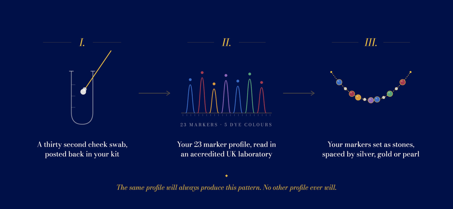 Timeline showing how long a DNA necklace takes from order to delivery, from sampling kit to finished piece