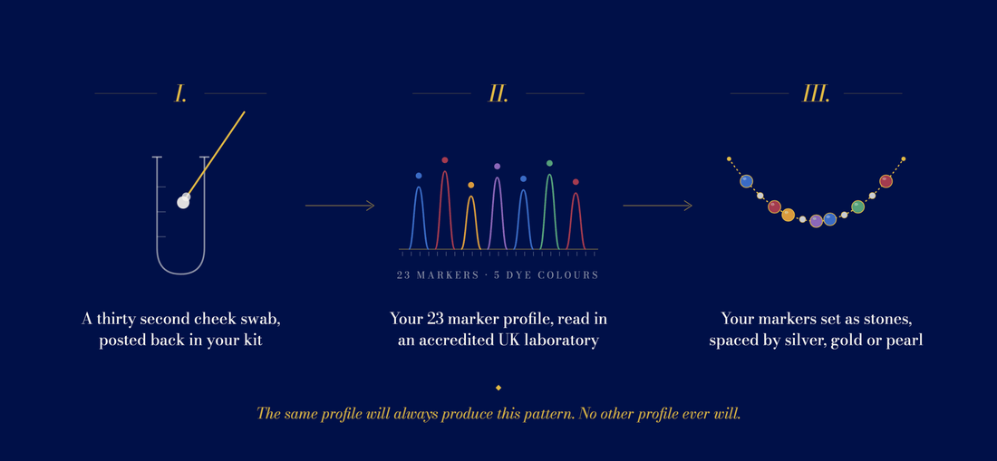 Timeline showing how long a DNA necklace takes from order to delivery, from sampling kit to finished piece