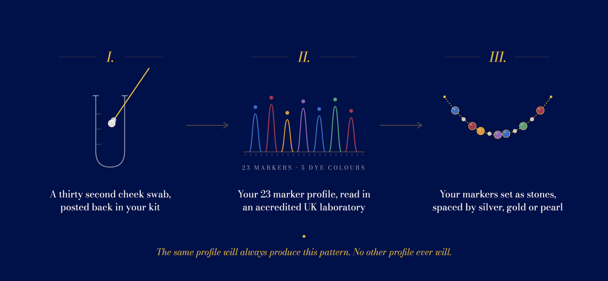 Timeline showing how long a DNA necklace takes from order to delivery, from sampling kit to finished piece