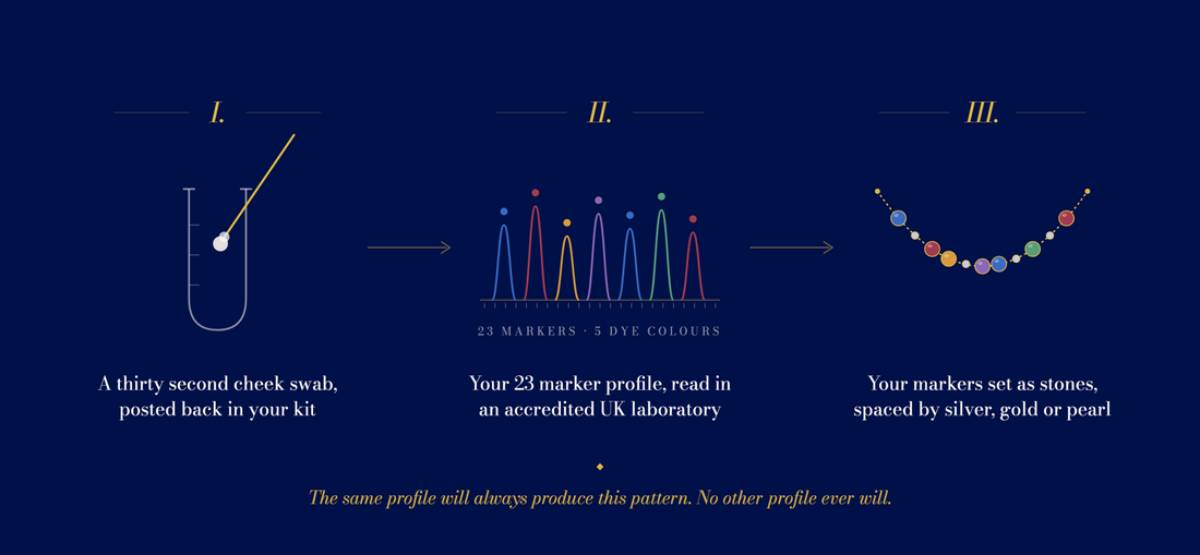 Diagram showing how a DesigNA cheek swab becomes a 23 marker DNA profile and then marker stones set along the necklace, spaced by metal beads