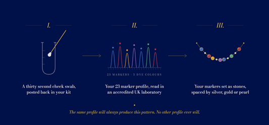 Diagram showing how a DesigNA cheek swab becomes a 23 marker DNA profile and then marker stones set along the necklace, spaced by metal beads