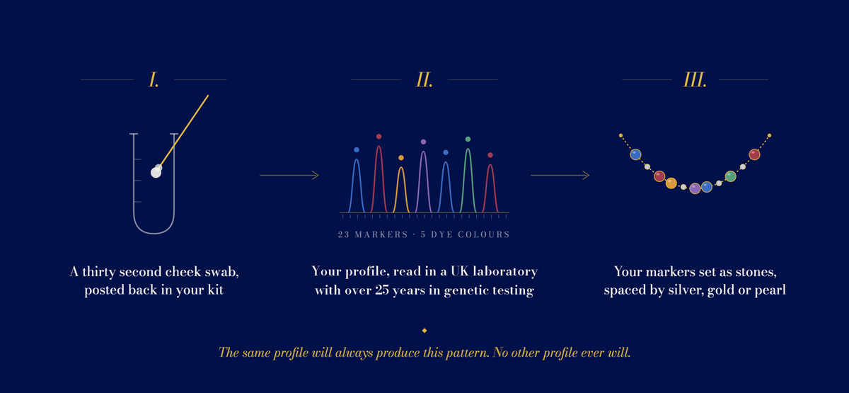 DNA profiling markers shown as coloured stones along a Silver DNA Profile Necklace beside its certificate
