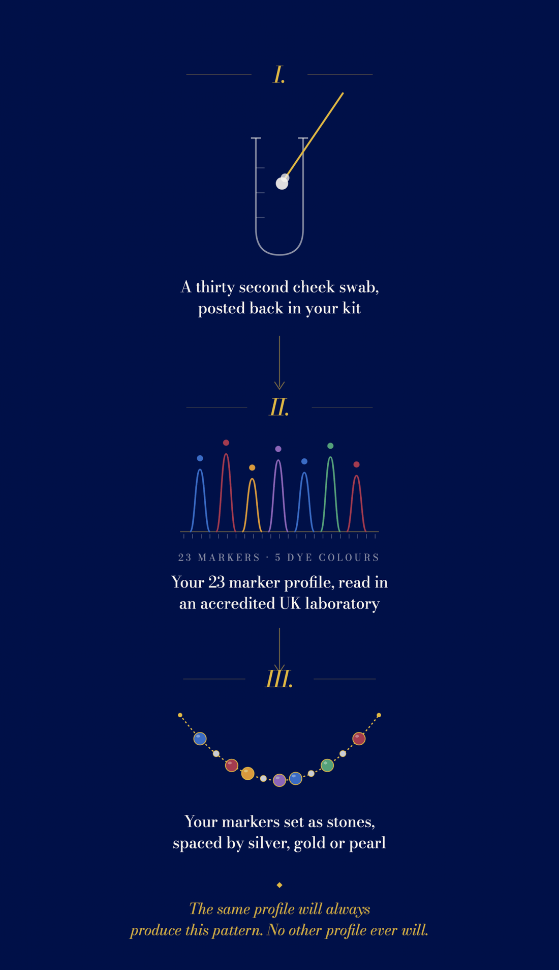 Timeline showing how long a DNA necklace takes from order to delivery, from sampling kit to finished piece