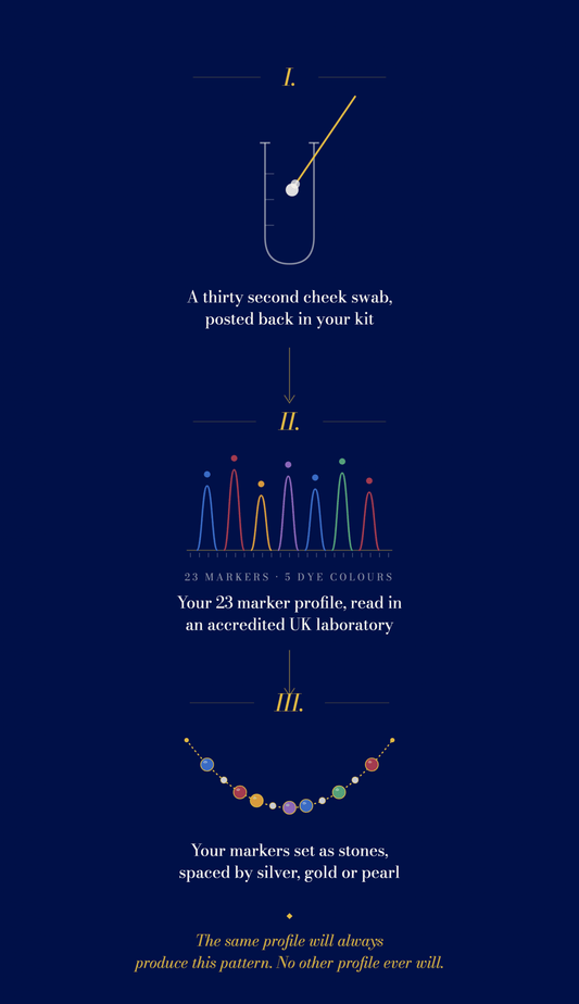 Timeline showing how long a DNA necklace takes from order to delivery, from sampling kit to finished piece