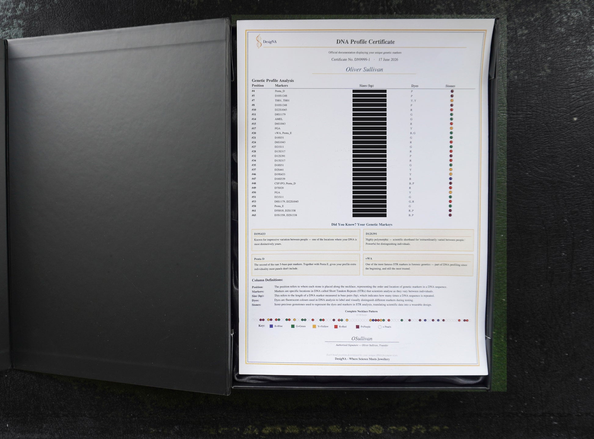 The DNA Profile Certificate of authenticity in its box. The individual marker readings are redacted here for privacy; your own certificate shows yours in full.
