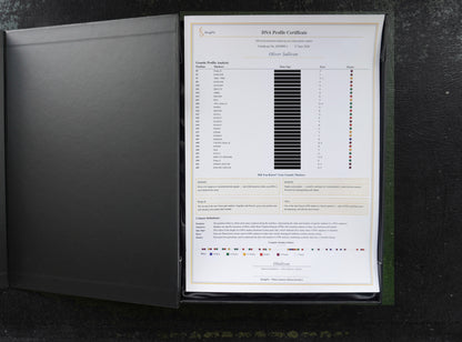 The DNA Profile Certificate of authenticity in its box. The individual marker readings are redacted here for privacy; your own certificate shows yours in full.