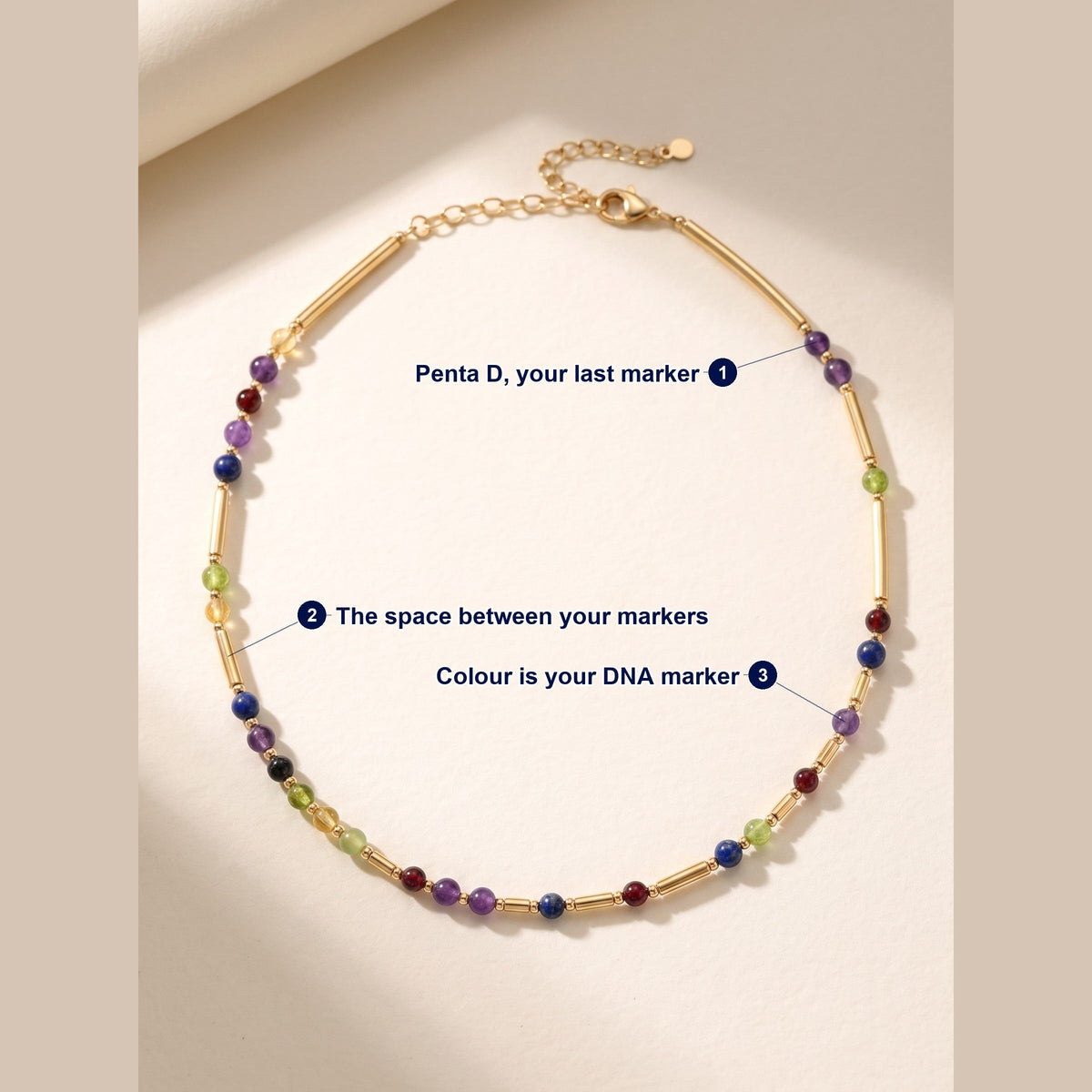 Gold DNA Profile Necklace photographed flat, with each part of the piece labelled.