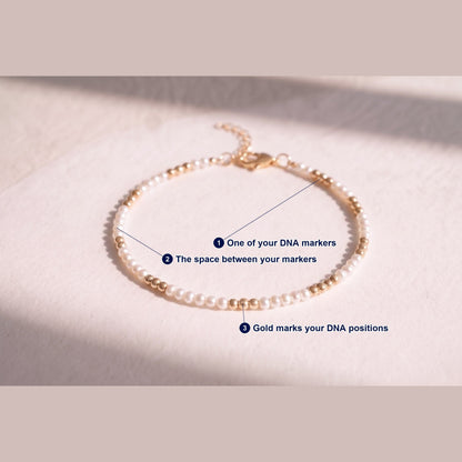 Pearl and Gold Clasp DNA Profile Bracelet photographed flat, with each part of the piece labelled.