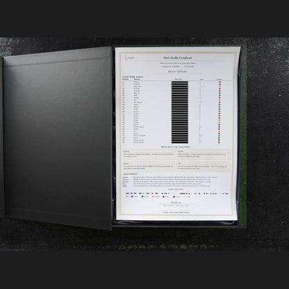 The DNA Profile Certificate of authenticity in its box. The individual marker readings are redacted here for privacy; your own certificate shows yours in full.