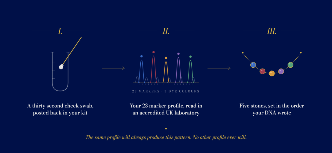 Diagram showing how a DesigNA cheek swab becomes a 23 marker DNA profile and then a five stone necklace pattern