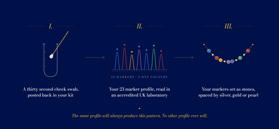 Diagram showing how a DesigNA cheek swab becomes a 23 marker DNA profile and then marker stones set along the necklace, spaced by metal beads